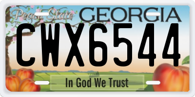GA license plate CWX6544