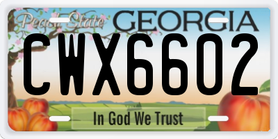 GA license plate CWX6602