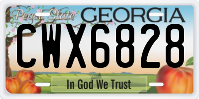 GA license plate CWX6828