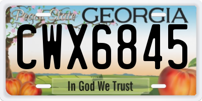 GA license plate CWX6845