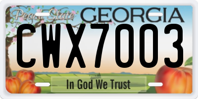 GA license plate CWX7003