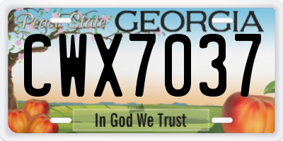 GA license plate CWX7037