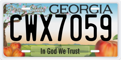 GA license plate CWX7059