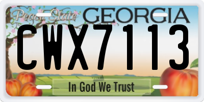 GA license plate CWX7113