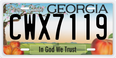 GA license plate CWX7119