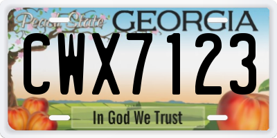 GA license plate CWX7123