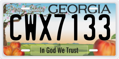 GA license plate CWX7133