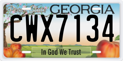 GA license plate CWX7134
