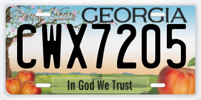 GA license plate CWX7205