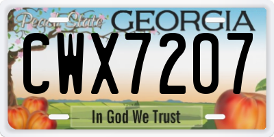 GA license plate CWX7207