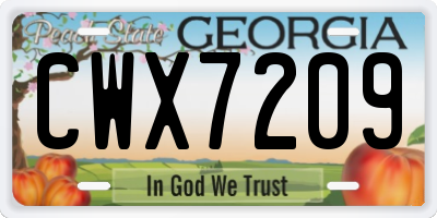 GA license plate CWX7209