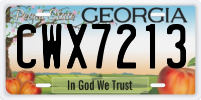 GA license plate CWX7213