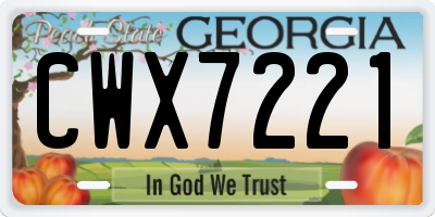 GA license plate CWX7221