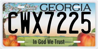 GA license plate CWX7225