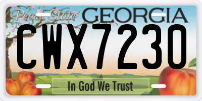 GA license plate CWX7230
