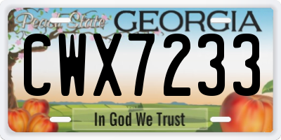 GA license plate CWX7233
