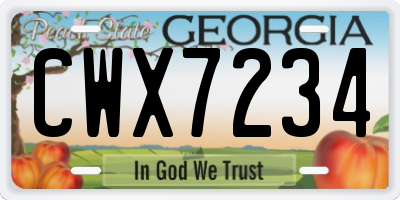 GA license plate CWX7234
