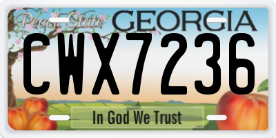GA license plate CWX7236