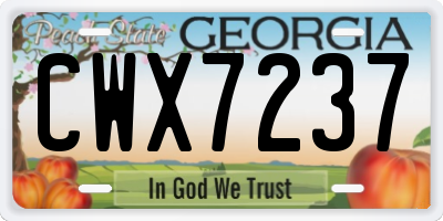 GA license plate CWX7237