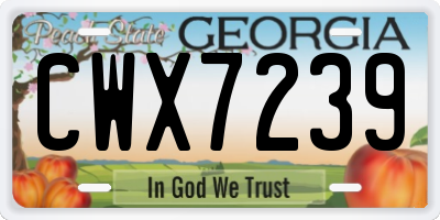 GA license plate CWX7239