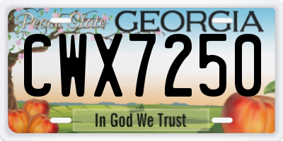 GA license plate CWX7250