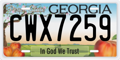 GA license plate CWX7259