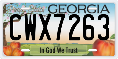 GA license plate CWX7263