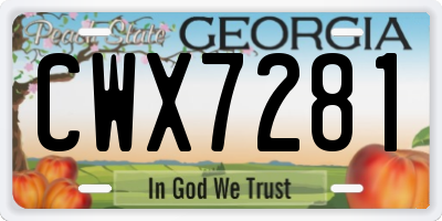GA license plate CWX7281