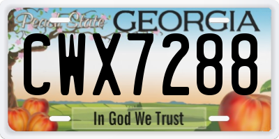 GA license plate CWX7288