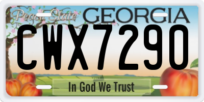 GA license plate CWX7290