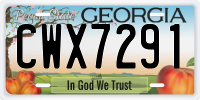 GA license plate CWX7291