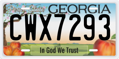 GA license plate CWX7293