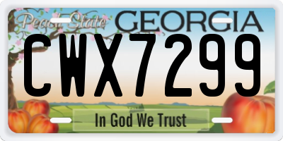 GA license plate CWX7299