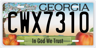 GA license plate CWX7310