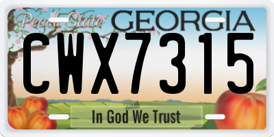 GA license plate CWX7315