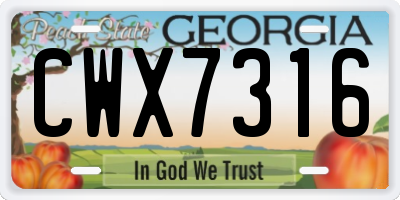 GA license plate CWX7316
