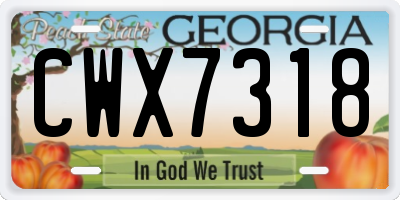 GA license plate CWX7318