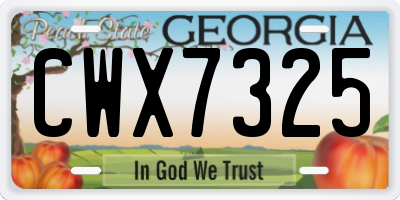 GA license plate CWX7325