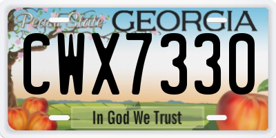 GA license plate CWX7330