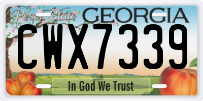GA license plate CWX7339