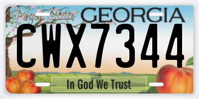 GA license plate CWX7344