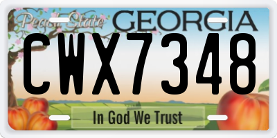 GA license plate CWX7348