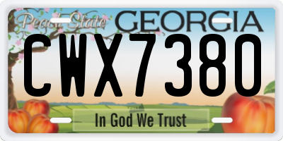 GA license plate CWX7380