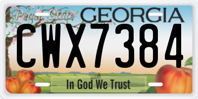 GA license plate CWX7384