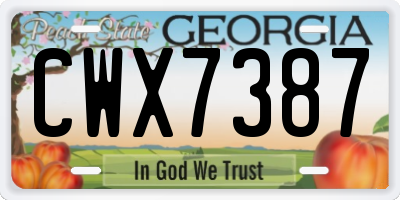 GA license plate CWX7387