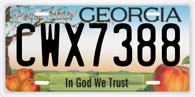 GA license plate CWX7388