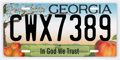 GA license plate CWX7389