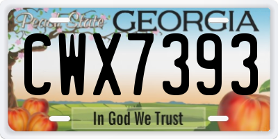 GA license plate CWX7393