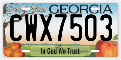 GA license plate CWX7503