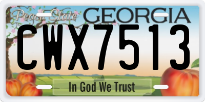 GA license plate CWX7513